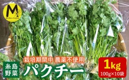 【ふるさと納税】【先行予約販売】糸島産 パクチー 1kg （100g×10袋） 糸島市 / MURA FARM [AFD002]