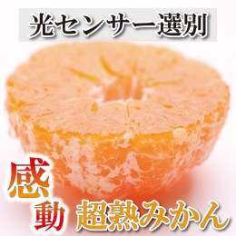 【ふるさと納税】＜2024年11月より発送＞家庭用 超熟有田みかん2.5kg+75g（傷み補償分）【わけあり・訳あり】【光センサー選果】　※北海