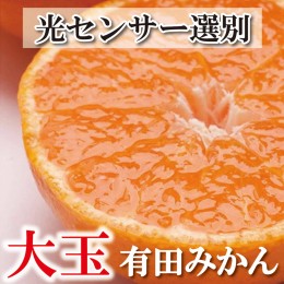 【ふるさと納税】＜2024年11月より発送＞家庭用 大きな有田みかん5kg+150g（傷み補償分）【わけあり・訳あり】【光センサー選果】　※北