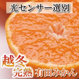 【ふるさと納税】＜2025年1月より発送＞家庭用 越冬完熟みかん2kg+60g（傷み補償分）【ハウスみかん】【わけあり・訳あり】【光センサー