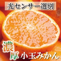 【ふるさと納税】＜2024年11月より発送＞家庭用 小玉な有田みかん5kg+150g（傷み補償分）【わけあり・訳あり】【光センサー選果】　※北