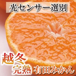 【ふるさと納税】＜2025年1月より発送＞家庭用　越冬完熟みかん3kg+90g（傷み補償分）【ハウスみかん】【わけあり・訳あり】【光センサー