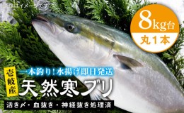 【ふるさと納税】壱岐島産天然寒ブリ（8キロ台・丸もの） 《壱岐市》【壱岐島　玄海屋】[JBS005] ぶり 寒ぶり ブリ 魚 刺身 しゃぶしゃぶ