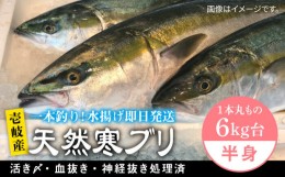 【ふるさと納税】壱岐島産天然寒ブリ（一本丸ものサイズ6キロ台の半身ブロック） 《壱岐市》【壱岐島　玄海屋】[JBS008] ぶり 寒ぶり ブ