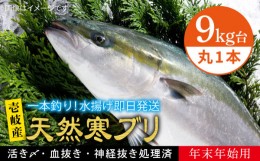 【ふるさと納税】【11/1〜1/15お届け 年末年始用】天然 寒ブリ（9キロ台・丸もの） 《壱岐市》【壱岐島　玄海屋】[JBS033] ぶり 寒ぶり 