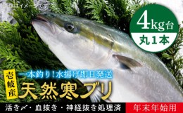 【ふるさと納税】【11/1〜1/15お届け 年末年始用】天然 寒ブリ（ 4キロ台 丸もの ） 《壱岐市》【壱岐島　玄海屋】[JBS014] ぶり 寒ぶり 