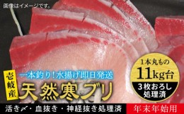 【ふるさと納税】【11/1〜1/15お届け 年末年始用】天然 寒ブリ（11キロ台・3枚おろし） 《壱岐市》【壱岐島　玄海屋】[JBS038] ぶり 寒ぶ