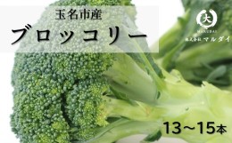 【ふるさと納税】玉名市産 ブロッコリー 13〜15本 | 野菜 やさい ミネラル 豊富 熊本県 玉名市