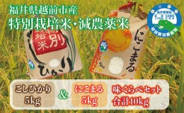 【ふるさと納税】〈先行予約〉令和6年度産・新米「味くらべ」福井県越前市産 コシヒカリ&にこまる 福井県特別栽培米 各5kg