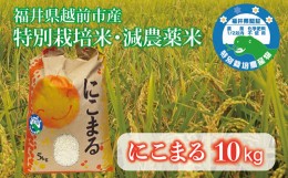 【ふるさと納税】〈先行予約〉令和6年度産・新米 10kg にこまる 福井県越前市産（福井県特別栽培米）