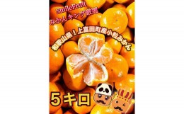 【ふるさと納税】【先行予約】小粒みかん5Kg　高糖度！みかんの里！【SmileFruitみかんキング厳選】2024年10月下旬以降順次発送