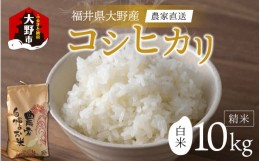 【ふるさと納税】【令和5年産】福井県大野市産  コシヒカリ 白米 精米 10kg 農家直送