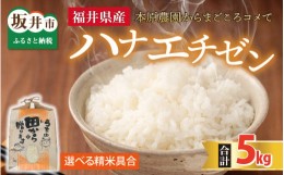 【ふるさと納税】【先行予約】【令和6年産・新米】【選べる精米具合】 ハナエチゼン5kg × 1袋 〜本原農園からまごころコメて〜（白米）