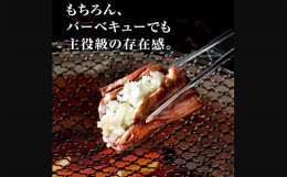 【ふるさと納税】訳あり？塩味厚切り牛タン(軟化加工)２ｋｇ(500g×4ﾊﾟｯｸ） 厚切り 牛タン バーベキュー 焼肉 2kg【お届け時期：入金