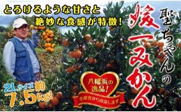 【ふるさと納税】聖ちゃんの「媛一みかん」2Lサイズ  約7.5kg＜C39-14＞【1491362】