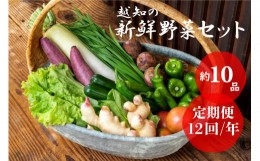 【ふるさと納税】越知産市の季節の野菜セット(年12回発送)