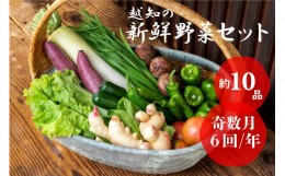 【ふるさと納税】越知産市の季節の野菜セット(年6回発送) 奇数月　産地直送　旬野菜