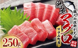 【ふるさと納税】すさみの熟成マグロ　約250g /まぐろ 鮪 刺身 新鮮 鮮度 冷凍 和歌山県 すさみ町【gyg136】