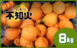 【ふるさと納税】≪ 訳あり ≫ 不知火 熊本県産 8kg | フルーツ 果物 くだもの 柑橘 みかん ミカン オレンジ しらぬい 熊本県 玉名市