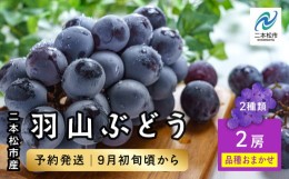 【ふるさと納税】《2024年9月初旬以降発送》羽山のぶどうおまかせ 2房（1.4kg）【羽山果樹組合】