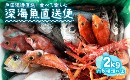 【ふるさと納税】見て食べて楽しむ 深海魚直送便 約2kg 2〜3人前 セット 深海魚の宝庫 沼津 戸田 からお届け！