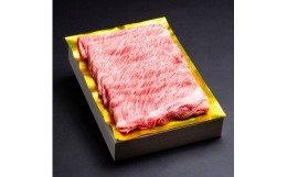 【ふるさと納税】松阪牛　シルク　ロース　しゃぶしゃぶ　500g　B-48／冷凍　瀬古食品　ふるさと納税　牛肉　松阪肉　名産　ブランド　霜