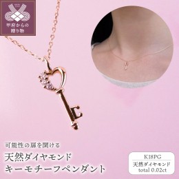 【ふるさと納税】K18PG　天然ダイヤモンド　キーモチーフペンダント　K04062-H