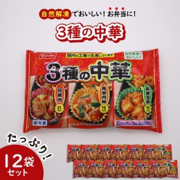 【ふるさと納税】【冷凍食品】ニッスイ 自然解凍でおいしい! 3種の中華 12袋セット【モガミフーズ】