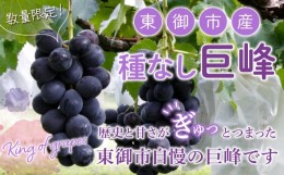 【ふるさと納税】【先行予約】東御市産 種なし巨峰約2kg　※9月〜10月上旬お届け | 長野県 長野 人気 ぶどう 贈答用 ギフト 2kg 先行予約