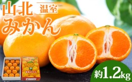 【ふるさと納税】山北温室みかん1.2kg 果物 柑橘 ミカン 蜜柑 フルーツ ku-0021