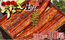 【ふるさと納税】肉厚ふっくら香ばしい 台湾産養殖うなぎ蒲焼 200g 20尾セット ss-0031