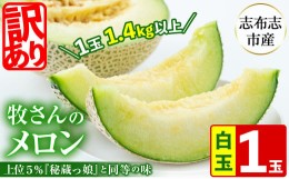 【ふるさと納税】a0-170 【冬限定・数量限定】牧さんの訳ありメロン 白玉(青肉)1玉