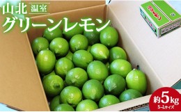 【ふるさと納税】【数量限定】高知県産 山北温室グリーンレモン 約5kg(S〜Lサイズ)  - 果物 フルーツ 柑橘 のし対応可 レモン酎ハイ お酒