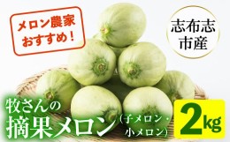 【ふるさと納税】【期間限定・数量限定】鹿児島県志布志産 摘果メロン(子メロン・小メロン) 2kg p8-115-06