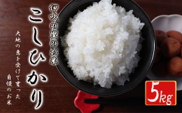 【ふるさと納税】≪令和5年産新米≫ほたるの集う田んぼの米 こしひかり 約5kg