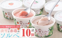 【ふるさと納税】a5-218 いちご農家がつくった淡雪と赤苺のソルベ 計10個(2種・各5個入)