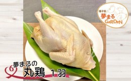 【ふるさと納税】種子島 夢まるガーデン 丸鶏 平飼い (1羽)　NFN449 【375pt】