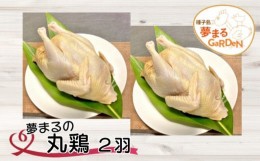 【ふるさと納税】種子島 夢まるガーデン 丸鶏 平飼い (2羽)　NFN450 【725pt】
