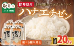 【ふるさと納税】【先行予約】【令和6年産・新米】【選べる精米具合】 ハナエチゼン20kg(5kg×4袋) 〜本原農園からまごころコメて〜（白