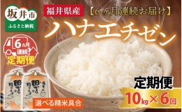 【ふるさと納税】【先行予約】【令和6年産・新米】定期便 ≪6ヶ月連続お届け≫ 【選べる精米具合】 ハナエチゼン10kg×6回 計60kg 〜本原