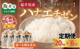 【ふるさと納税】【先行予約】【令和6年産・新米】定期便 ≪6ヶ月連続お届け≫ 【選べる精米具合】 ハナエチゼン20kg×6回 計120kg 〜本