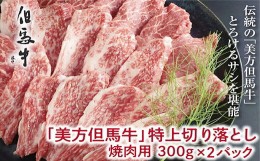 【ふるさと納税】但馬牛特上切り落とし 300g×2P(焼肉用)【1073840】