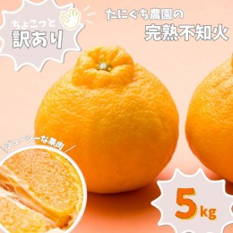 【ふるさと納税】たにぐち農園の完熟不知火 ご家庭用 ちょこっと訳あり 5kg【2025年2月中旬から3月下旬までに順次発送】 / くだもの フル