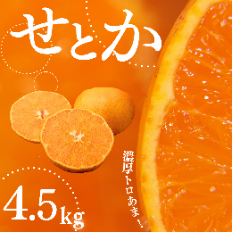 【ふるさと納税】ご家庭用 たにぐち農園のせとか 4.5kg 大小混合【2025年3月から4月上旬までに順次発送】 / 家庭用 ご家庭用 せとか みか