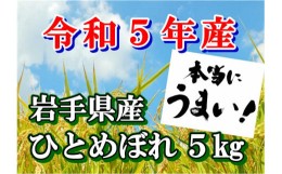 【ふるさと納税】【令和5年産】岩手県産 ひとめぼれ 5kg 【1291】