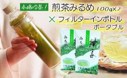 【ふるさと納税】煎茶みるめ100g×2とフィルターインボトルポータブルセット