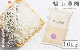 【ふるさと納税】新米予約 「ゆめぴりか10kg」特別栽培米産地直送《帰山農園》