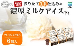 【ふるさと納税】搾りたて生乳仕込みの濃厚ミルクアイス　フレッシュみるく6個セット Qak-A32 アイスクリーム アイス しぼりたて生乳 ア