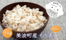 【ふるさと納税】美波町産「もち麦」と伊座利産「あらめ入佃煮」のセット（もち麦1kg+あらめ入佃煮6本）