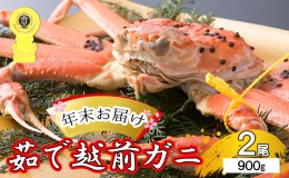 【ふるさと納税】茹で越前ガニ【年末お届け】食通もうなる本場の味をぜひ、ご堪能ください。約900g 2尾セット 越前がに 越前かに 越前カ